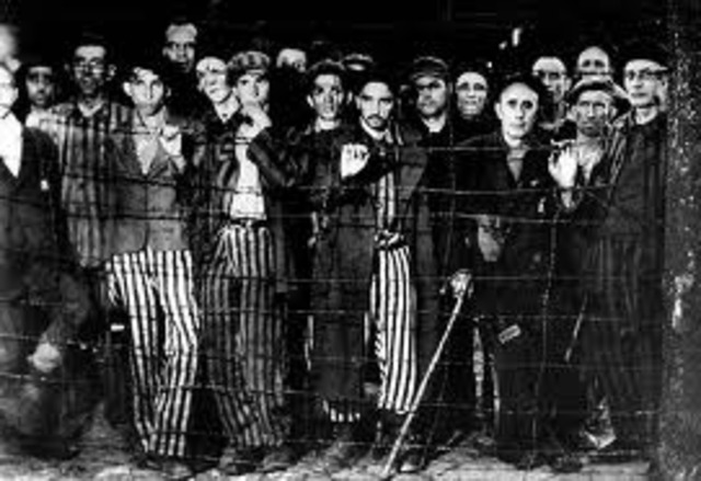 Hitlers Final Solution