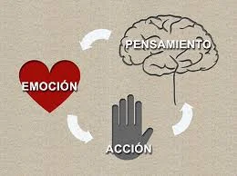 Décadas de 1980 y 1990 - Terapias Cognitivo- Conductuales
