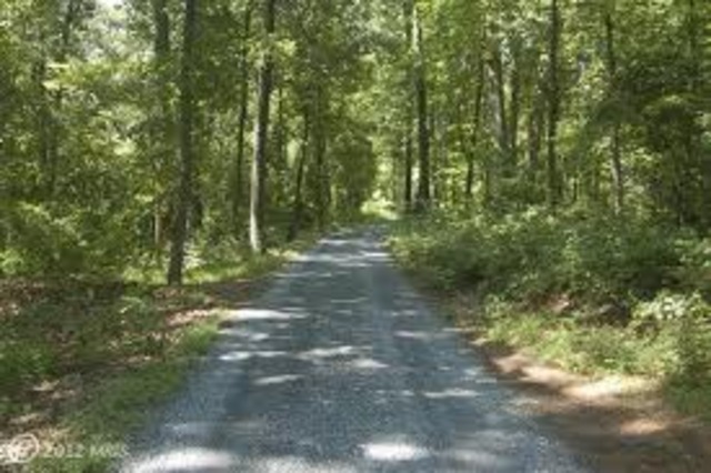 Birth Of Frederick Douglass