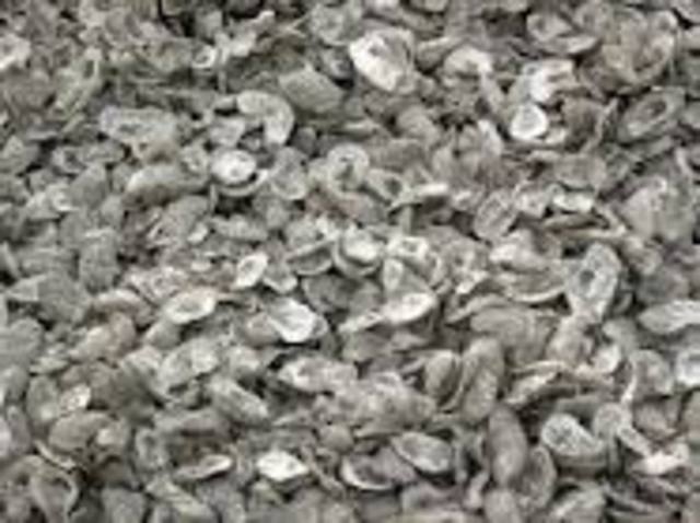 The First Journal writting