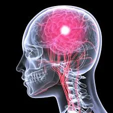 Psicología Fisiológica