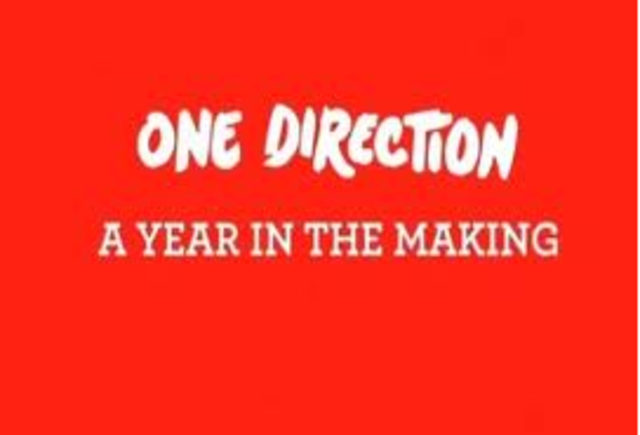 A year in the making documentary