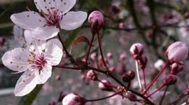 Timeline: April 12th