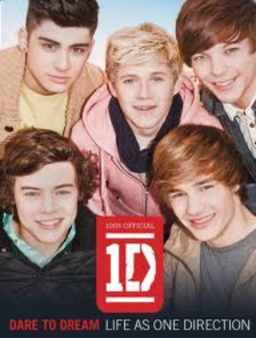 One Direction Dare to dream book released