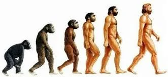 Teoria de l'evolucio de charles darwin