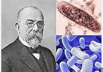 Teoría microbiana