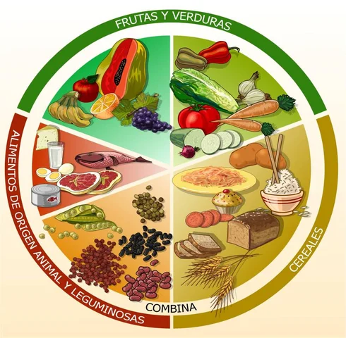 El Plato del Buen Comer