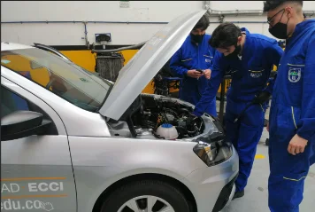 Programas Técnico Profesionales