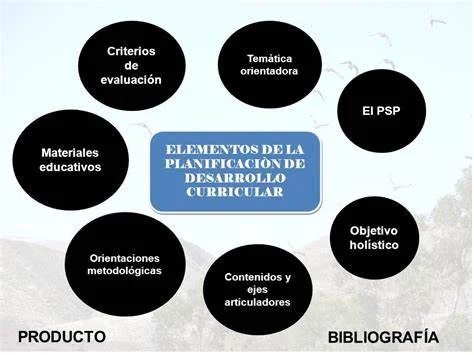 Diseño Curricular Actual