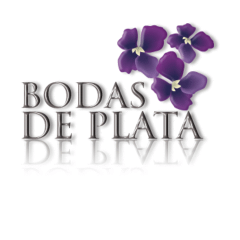 CELEBRACION BODAS DE PLATA DE MIS PADRES