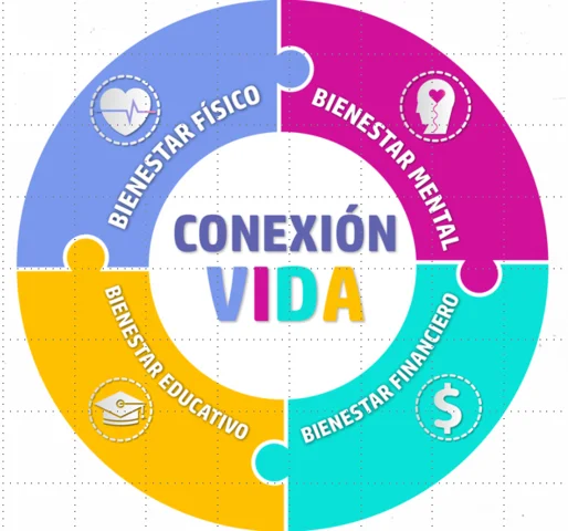 Conexión Vida