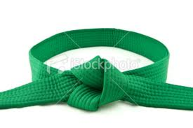 got my green belt