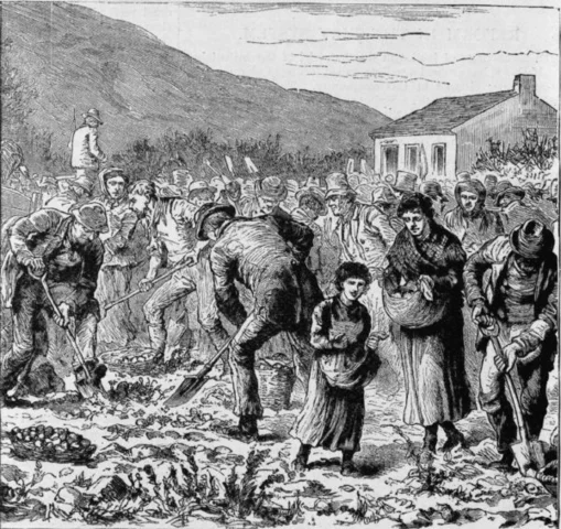 The Great Famine begins in Europe