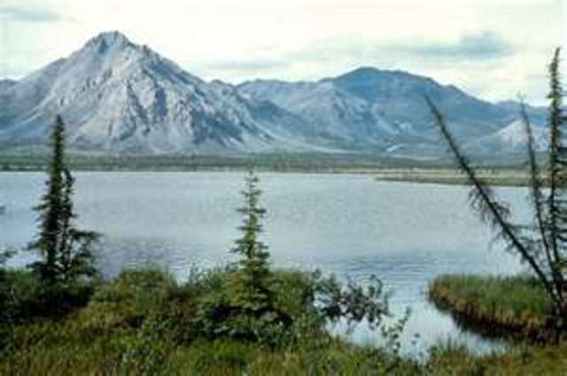 US House Prevents Drilling for Oil in the Arctic National Wildlife Refuge