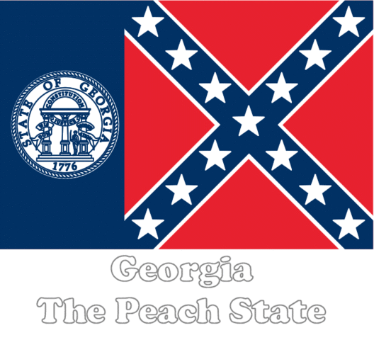 Change to Georgia's state flag
