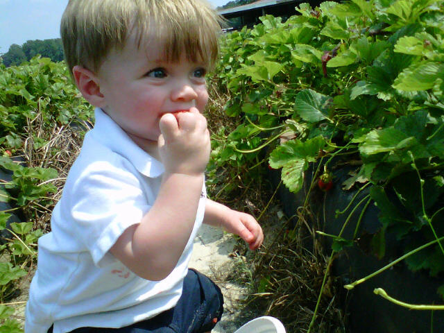 Sampling the merchandise