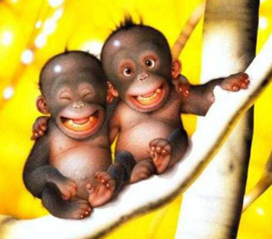 el dia que baix coneixa el meu millor amic