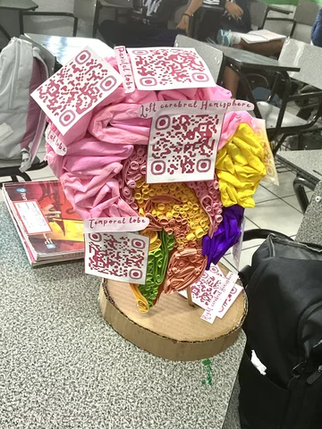 Brain Proyect