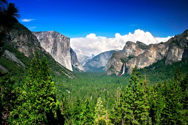 Yosemite under Federal Control