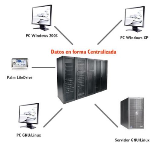 Stallman creó FSF o Fundación para el Software Libre
