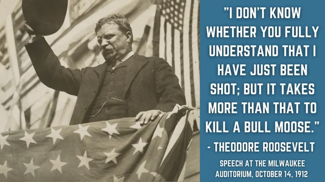 Runs for presidency, unsuccessfully for Bull-Moose Party