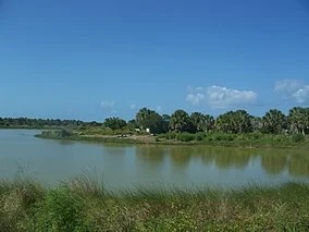 Pelican Island, Florida named first national wildlife refuge
