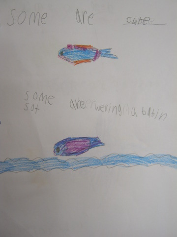 One Fish, Two Fish, Red Fish, Blue Fish