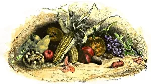 New World Crops