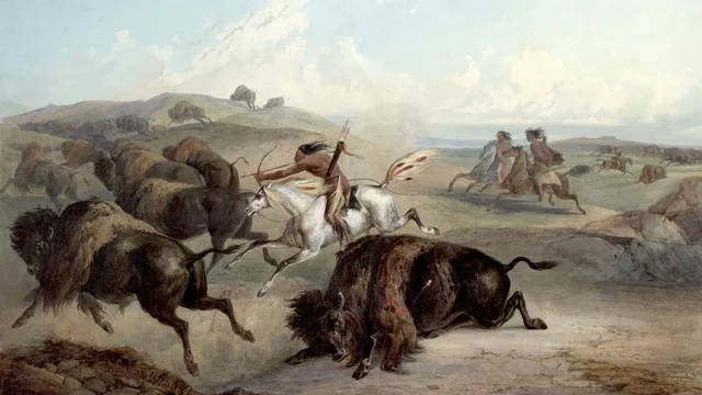 European Livestock