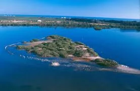 Pelican Island