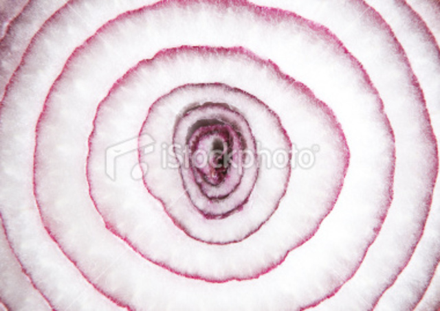 Onion Model Time