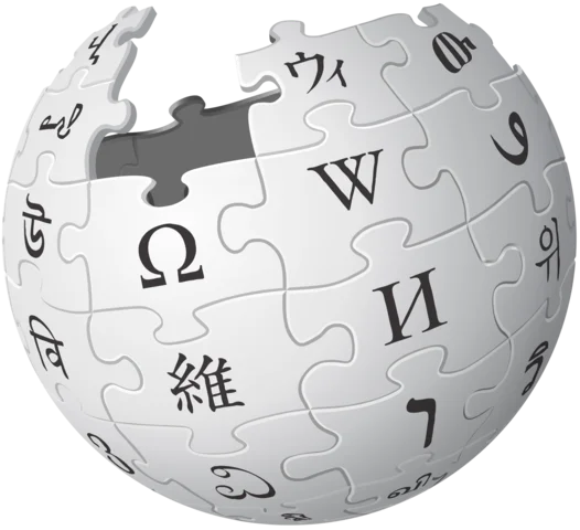 The Launch of Wikipedia