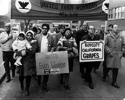 The United Farm Workers’ Grape Boycott