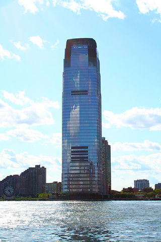 Goldman Sachs invest