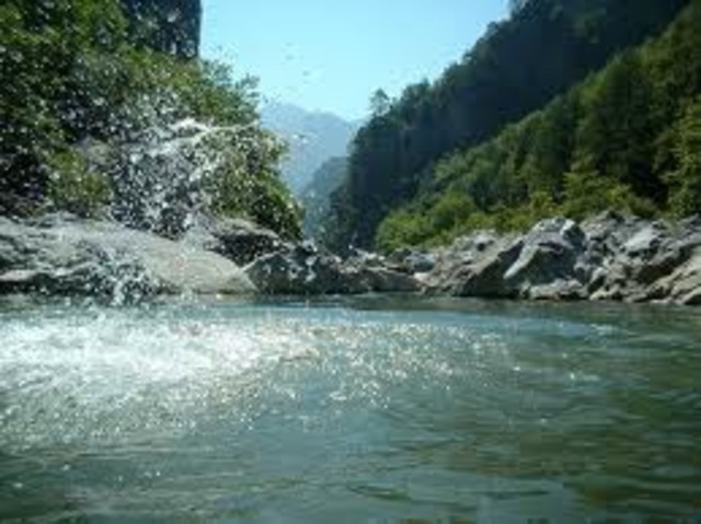 The Last family trip