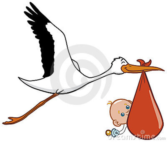 Nace el Ingeniero  Linux Torvals en helsinki, finlandia el 28 de diciembre de 1969