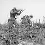 The Battle of Okinawa