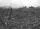 Atomic Bombing of Hiroshima