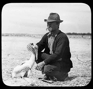 Pelican Island becomes a National Wildlife Refuge