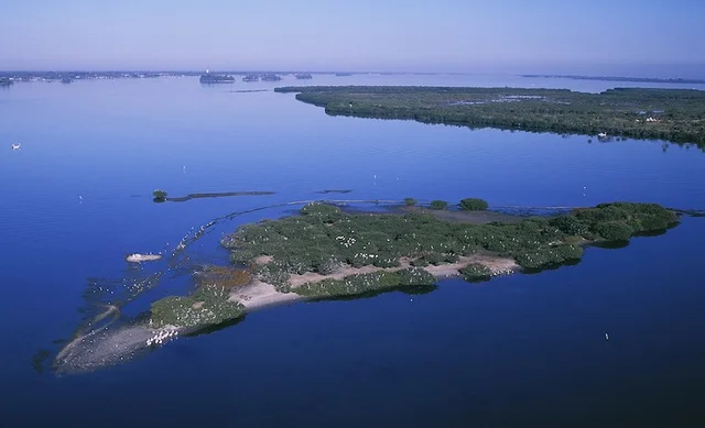 Pelican Island, Florida named first national wildlife refuge