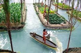 1350 CE: Development of Chinampas and Farming Tools