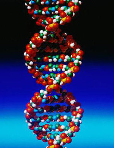 DNA Used to Convict