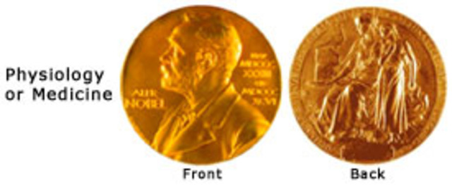 Einstein's Nobel Prize