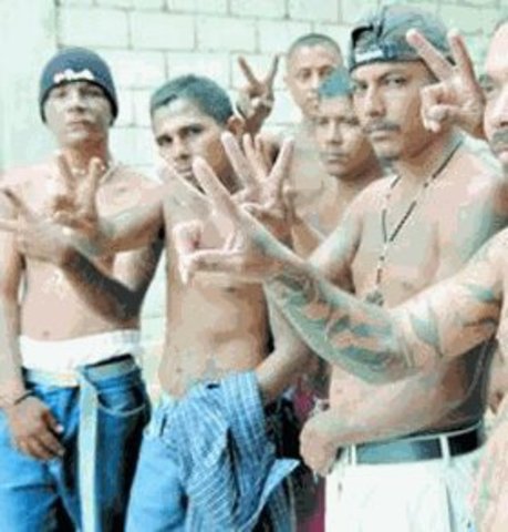 Directrices de la ONU para la prevención de la delincuencia juvenil, Directrices de RIAD