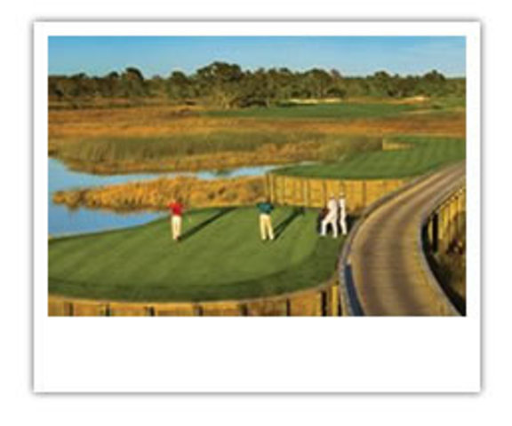 arrives in new yourk