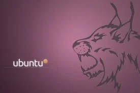 Ubuntu 10.04 LTS Lucid Lynx