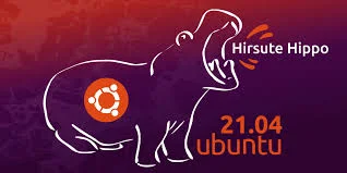 Ubuntu 21.04 Hirsute Hippo