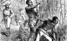 Haitian Slaves