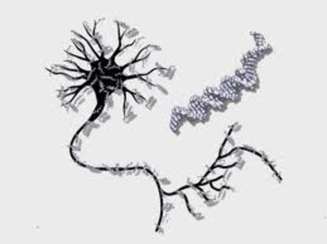 emergencia de los sistemas inteligentes