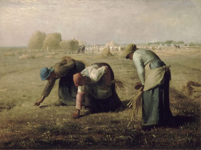 Le spigolatrici